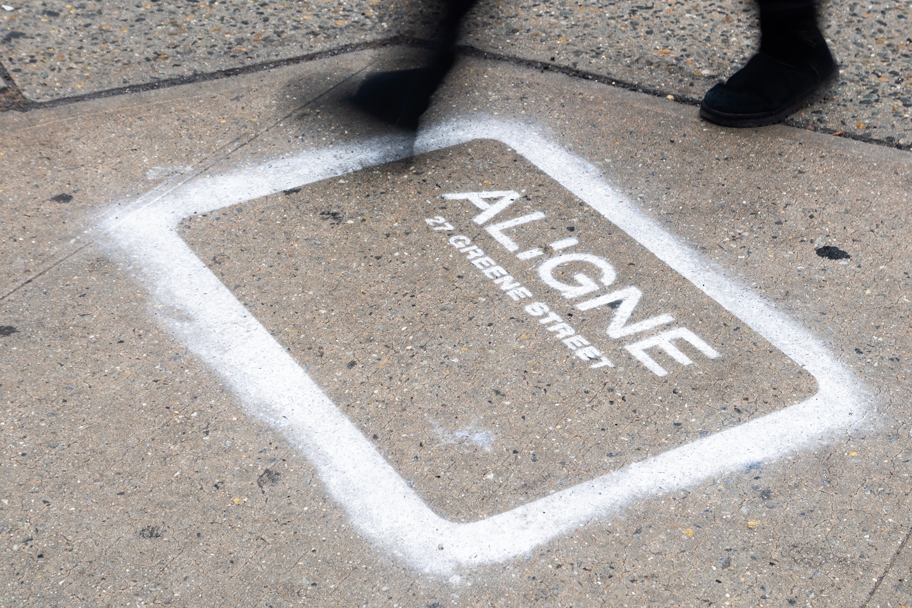 ALIGNE NYC